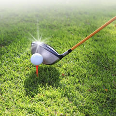 Golf club and ball in grass
