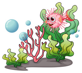 Fototapeta premium A puffer fish near the seaweeds