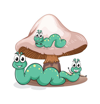 A mushroom with caterpillars