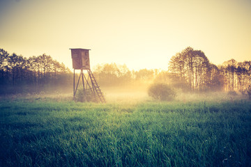 vintage sunrise over meadow with raised hide