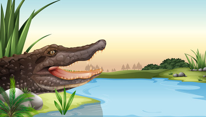 A reptile near the river © blueringmedia