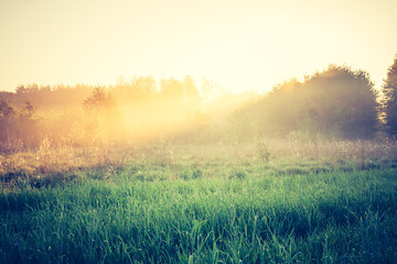 Naklejka premium vintage photo of sunrise over meadow