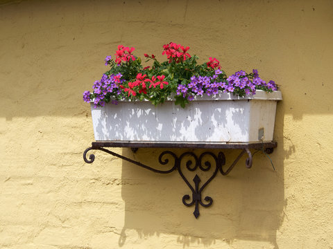 Classical planter flowerpot on a bricks wall