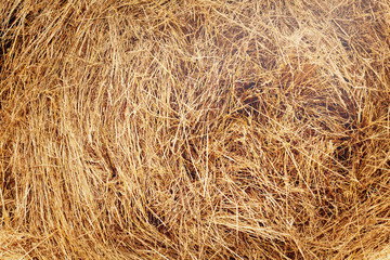 Haystack after harvest. Structure, background.
