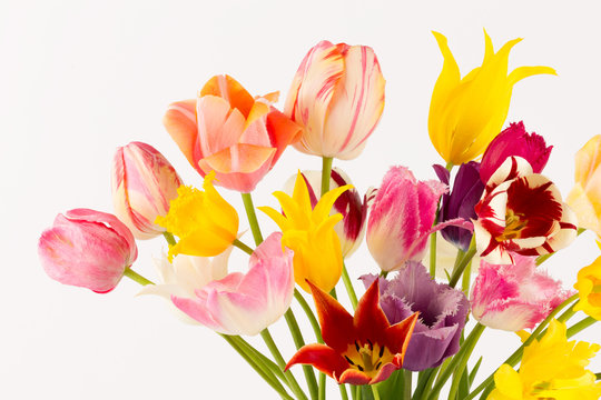 colorful bouquet of fresh tulips