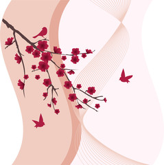 vector blossom branch with red flowers and birds