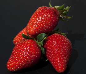 Erdbeere, Fragaria x ananassa, Beerenobst,