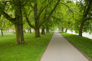 forest park