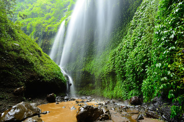 Madakaripura Waterfall-Deep Forest Waterfall in East Java, Indon