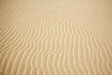 Fototapeta na wymiar desert's sand pattern background