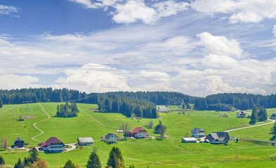 Fototapeta na wymiar Dorf im Schwarzwald