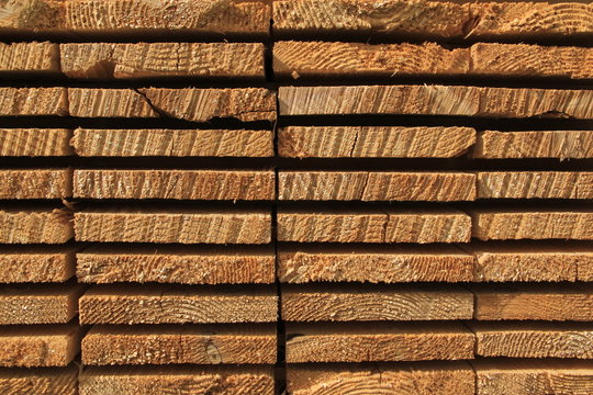 piles de bois