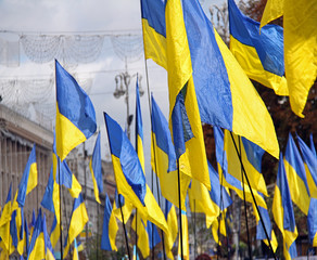 Ukrainian flags - 65581227