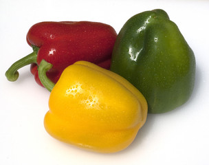 Paprika; Capsicum; annuum;