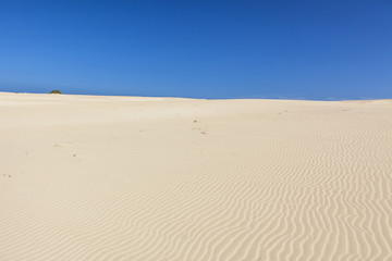 Fototapeta na wymiar desert dunes