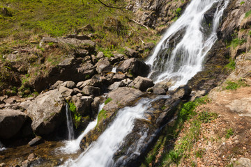 Fototapeta premium Wasserfall Schwarzwald