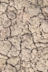 Dry land