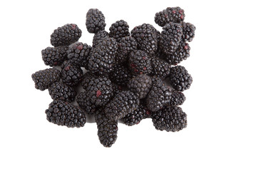 Fresh Blackberries on White Background