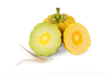 Garcinia Cambogia