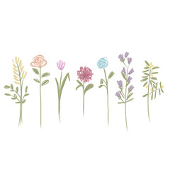 Set of flowers sketch for your design