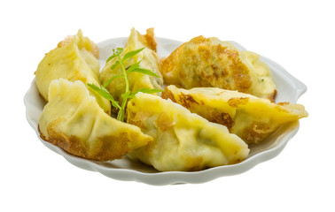 Japan dumplings - gyoza
