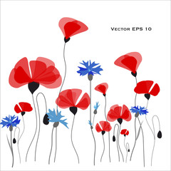 Poppies and cornflowers vector illustration