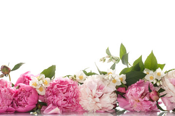 beautiful blooming peonies © Peredniankina