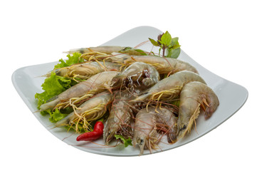 Raw tiger shrimps