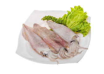 Raw calamari