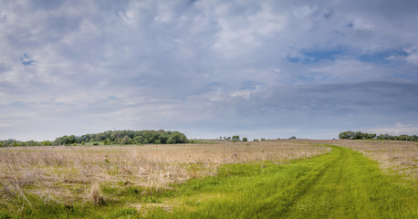 Fototapeta premium Beautiful spring landscape