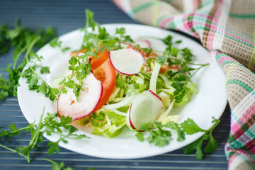 fresh vegetable salad