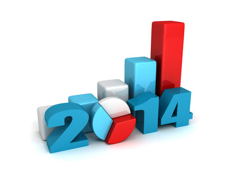 successful business bar and pie graphs 2014 year