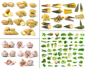 Vegetables and herb collection isolated on white background