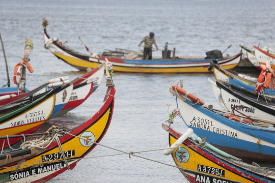 Traditional moliceiros fishing boats with high prows, painted in vivid colours, moored offshore at Torreira.