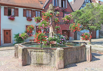 Alsace Bergheim
