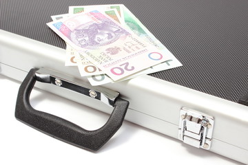 Polish banknotes lying on suitcase