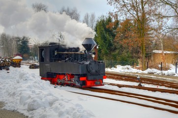 Fototapeta na wymiar Waldeisenbahn