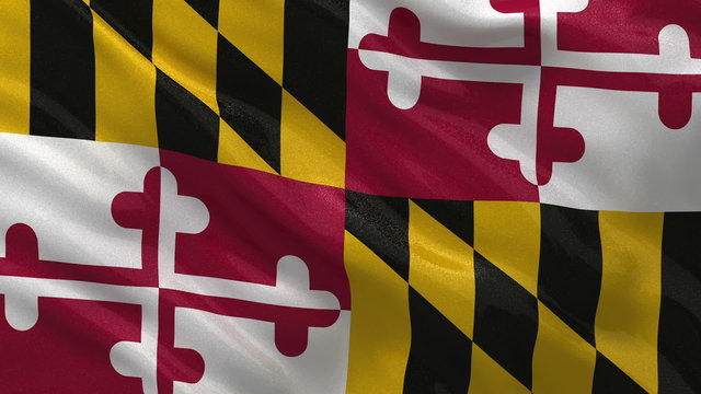 US state flag of Maryland waving in the wind - loop