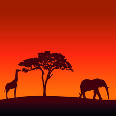 Fototapeta na wymiar African Safari Silhouette Vector Background