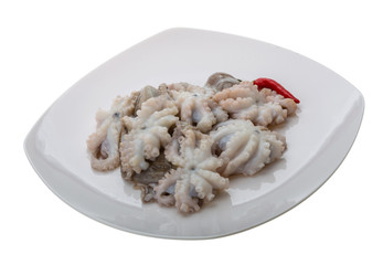Raw octopus