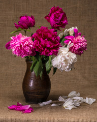 Still life with peonies in vase