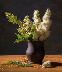 Still life with beautiful white flowers