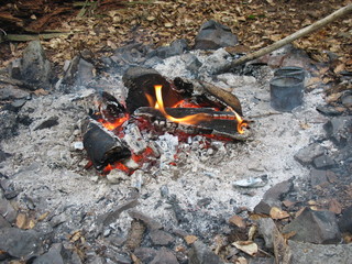 Раздумья у затухающего костра