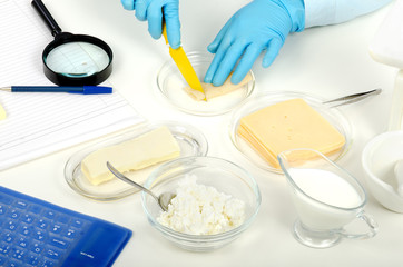 Cutting a cheese in phytocontrol laboratory