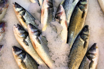 Obraz premium Seafood