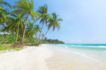Crédence de cuisine en verre imprimé Plage tropicale tropical beach with coconut palm