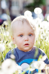 little baby boy sitting on a green meadow