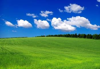 green field