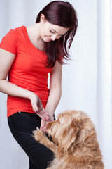 Dog training
