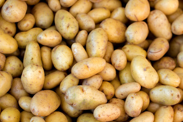 Young potatoes on a market